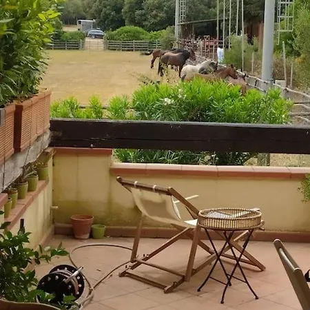 La Mia Oasi Maremmana Capalbio